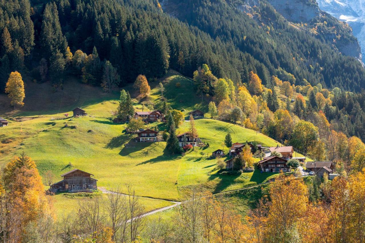 Chalet Waeschhuesli Near Interlaken, Grindelwald And Lauterbrunnen Гштайгвилер Экстерьер фото